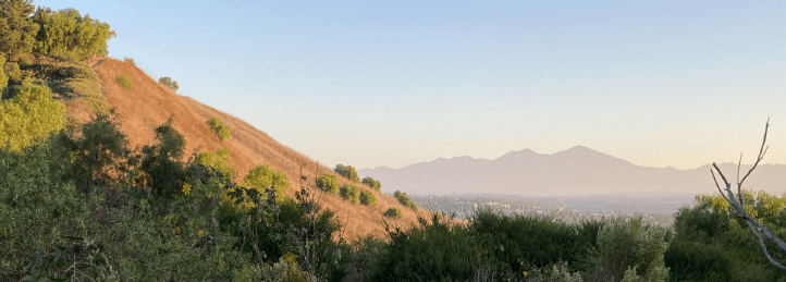 Laguna Niguel