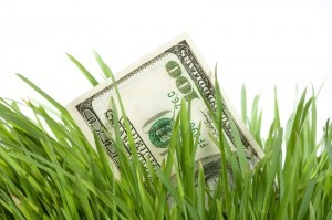 cash-grass